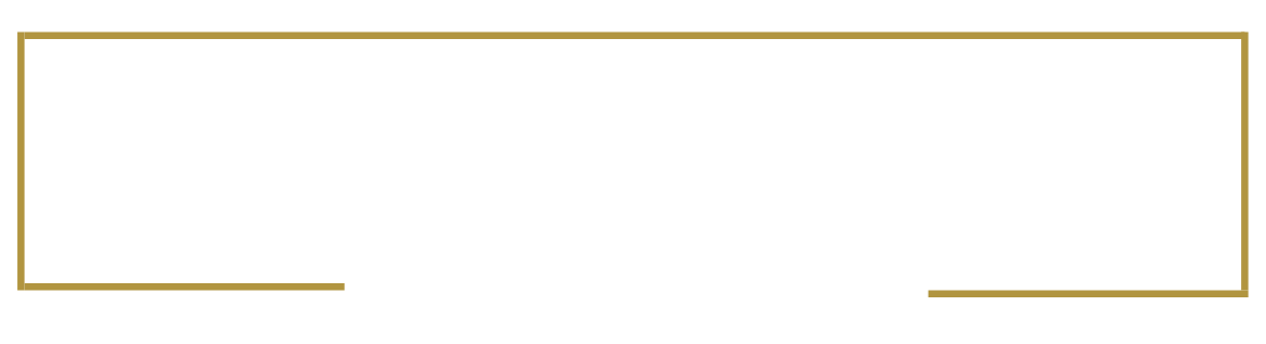 Luxury Worldwide Limousine