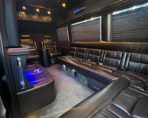 sprinter van limo